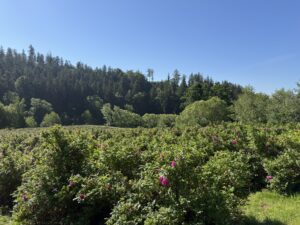 IMG_8128